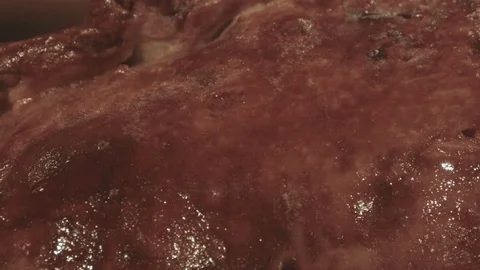 Slavic meat recipe Stock Footage 81329715
