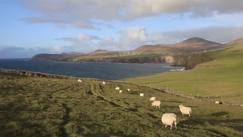 Slea Head Stock-Footage 103344568