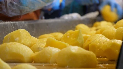 Сleaned and washed potatoes Stockbeeldmateriaal 92663842