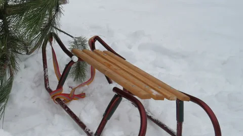 Sled and tree on the snow in winter frosty day Video stock 101195100