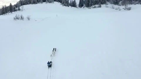 Sled dog in the mountain Stock Footage 158925416