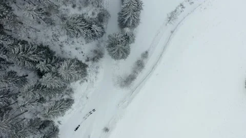 Sled dog in the mountain Stock Footage 158925511