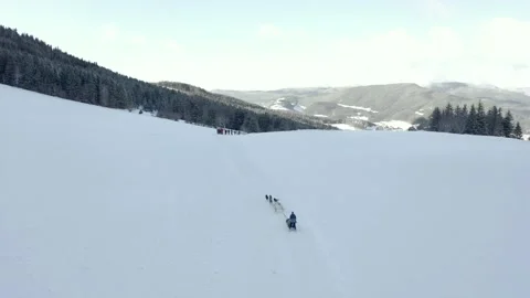 Sled dog in the mountain Stock Footage 158925513