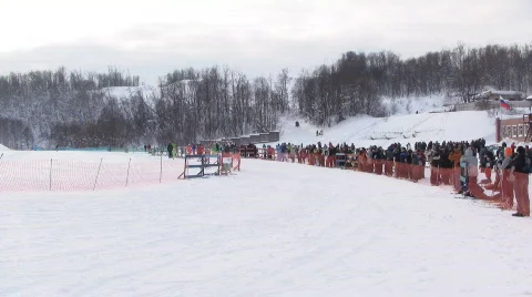 Sled dog races Stock Footage 624951