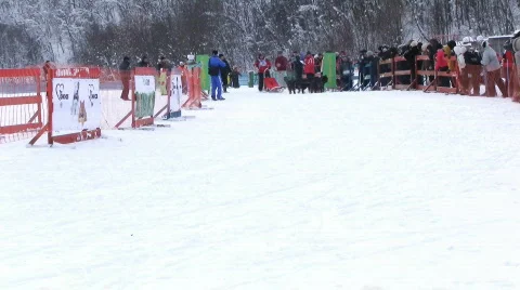 Sled dog races Stock Footage 631155