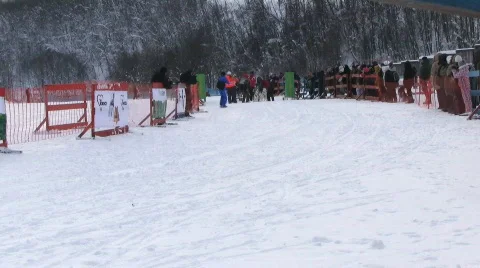 Sled dog races Stock Footage 631166