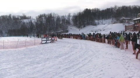 Sled dog races Stock Footage 631168