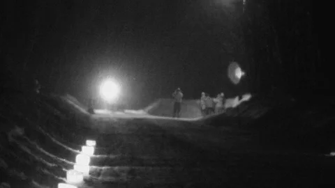 Sled Dogs Coming Toward Camera At Night While Snowing 스톡 동영상 102133880