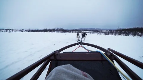 Sled ride rough Video stock 89505383