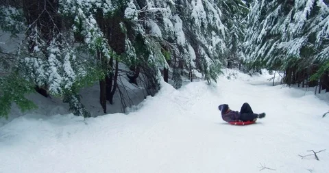 Sled riding Video stock 100656083