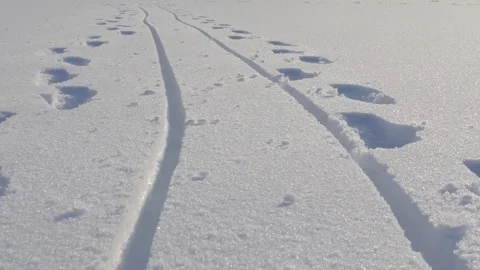 Sled tracks and footprints of two person on the snow 2 Stock Footage 149890201
