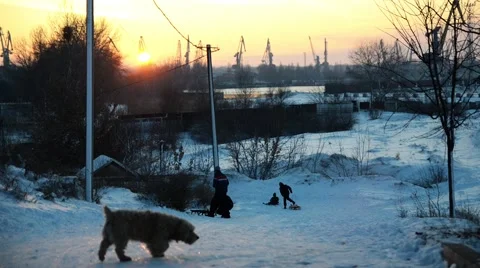 Sledding and sunset. Video stock 45988924