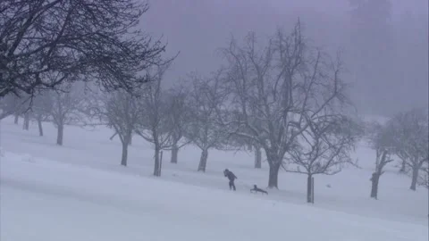 Sledding on a meadow in winter Stock Footage 288959396