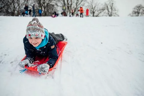 Sledding Like a Penguin Fotos Stock