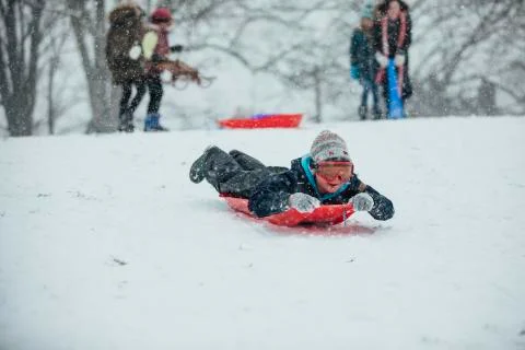 Sledding Like a Penguin 스톡 사진