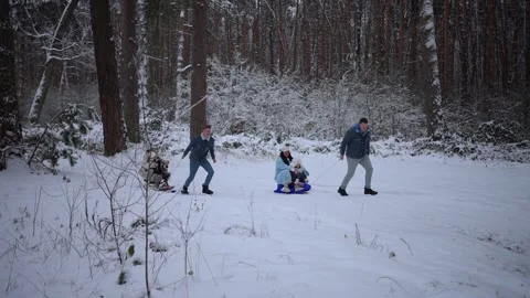 Sledding on a snowy winter day Stock Footage 260510463