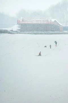 Sledging in a field while snowing. Stock Photos