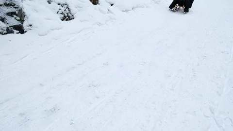 Sledging on a winter day. Video stock 115830676