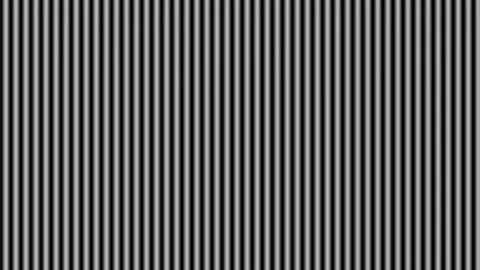 Sleek Black and White Horizontal Pattern Animation Видео 294137992
