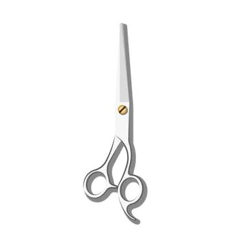Sleek professional hairdressing scissors with sharp stainless steel blades .. Stock Illustration