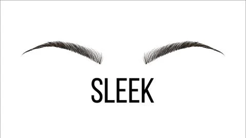 Sleek, Rounded Vector Hand Drawn Brows Shape イラスト素材