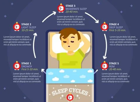 Sleep cycle infographics, vector education diagram, poster Stock Illustration