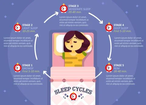 Sleep cycle infographics, vector education diagram, poster Stock Illustration