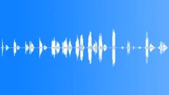 Sleep Sounds - Snoring and BreathingSound Effect