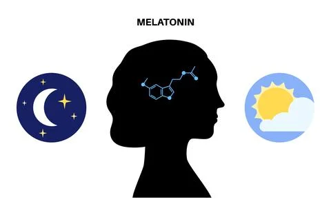 Sleep wake cycle Stock Illustration