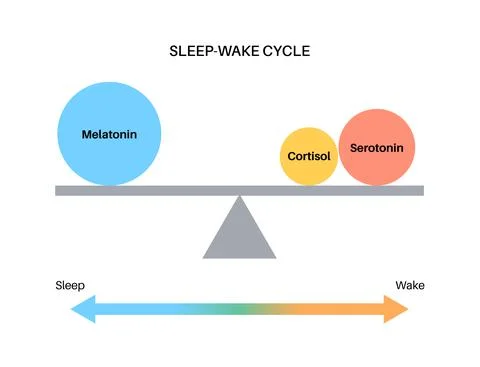 Sleep wake cycle Stock Illustration