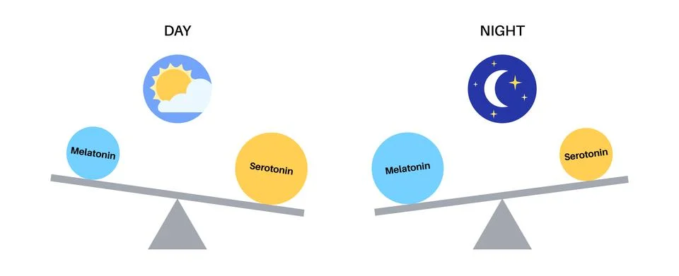 Sleep wake cycle Stock Illustration