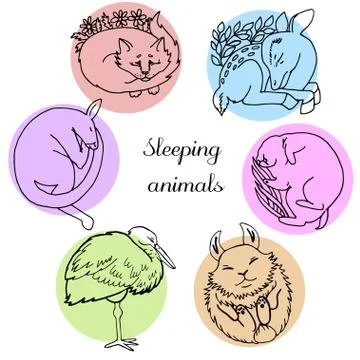 Sleeping animals. Vector illustration on white background Illustrazione stock