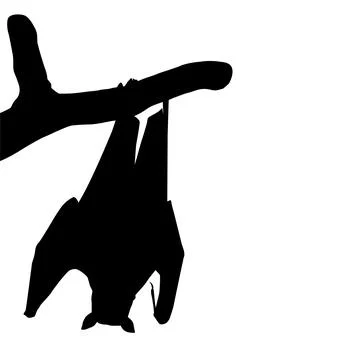 Sleeping Bat on the Branch Tree Silhouette Stock Illustration