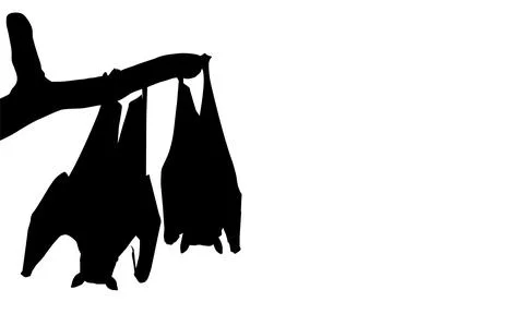 Sleeping Bat on the Branch Tree Silhouette Stock Illustration
