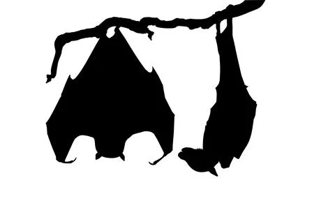 Sleeping Bat on the Branch Tree Silhouette Stock Illustration