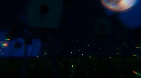 Sleeping Birds (HD) Stock Footage 7740843