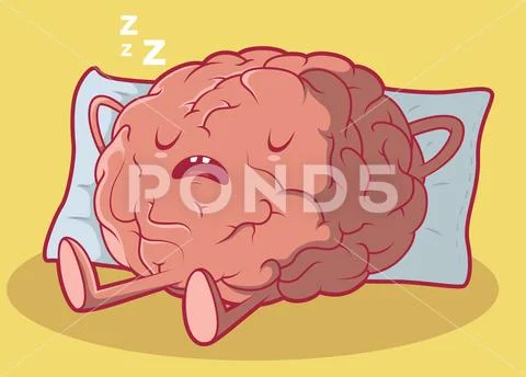 Sleeping Brain vector illustration. Stock Illustration