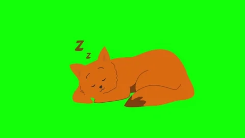 Sleeping cat 2D character animation. Video stock 299486342