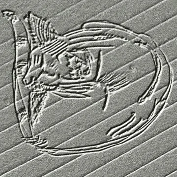 Sleeping cat curled up - relief - computer modified sketch Stock Illustration