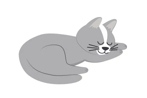 Sleeping cat. Cute grey cat. Grey cat. Flat, cartoon, vector Stock Illustration