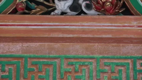 Sleeping Cat Stock Footage 332033290