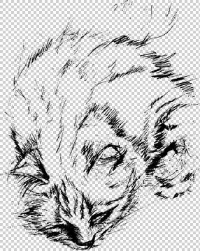 Sleeping cat Stock Illustration