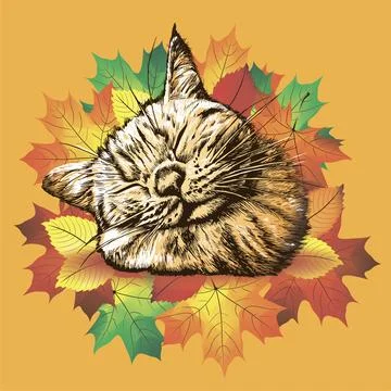 Sleeping cat in maple leaves on orange background. Autumn vector illustration. 스톡 일러스트