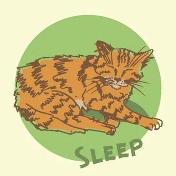 Sleeping cat. Sketch. Stock Illustration