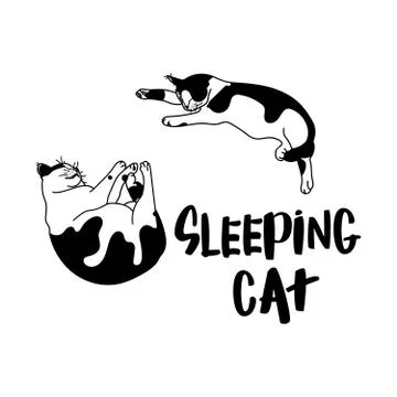 Sleeping cat vector illustration. Illustrazione stock