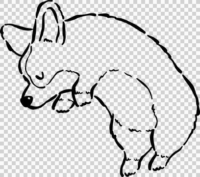 Sleeping Corgi Bread Loaf Dog Outline Doodle Curled Up in Croissant Shape C.. Stock Illustration