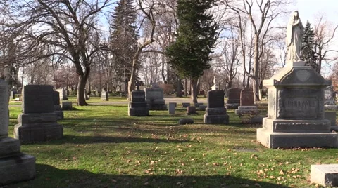 The Sleeping Dead Stock Footage 58446433