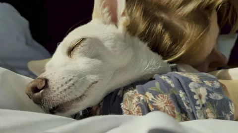 Sleeping with dog Stock Footage 154330118