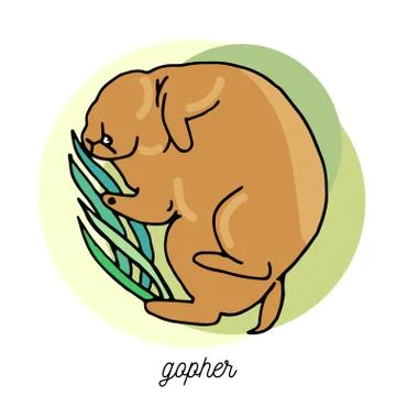 Sleeping gopher in a grass. Vector cartoon illustration Stock Illustration
