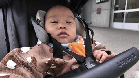 Sleeping Infant in a Stroller Stock Footage 313835114